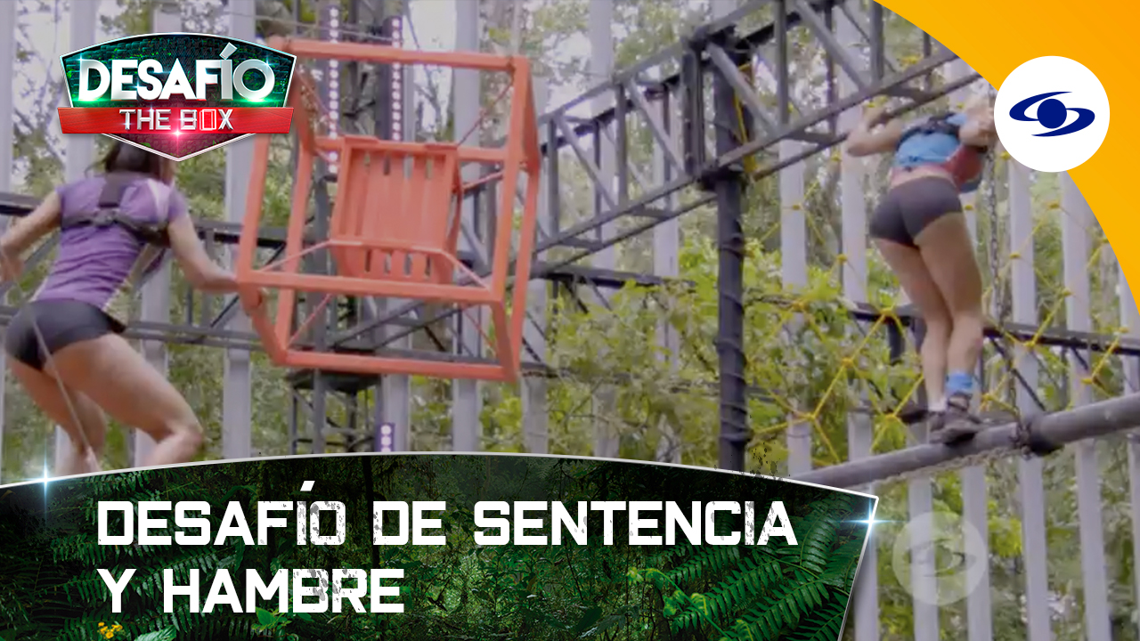 Con la comida en juego, los desafiantes dan el todo por el todo - Vimarsana News