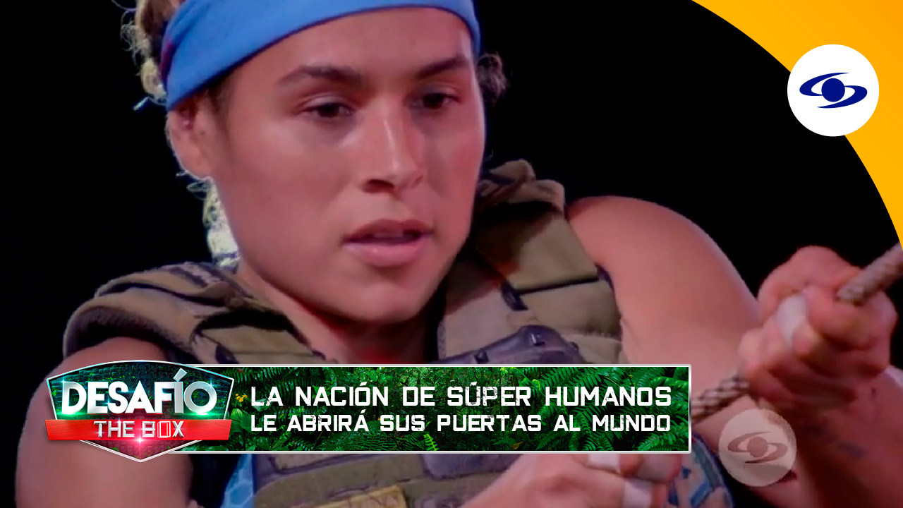 Revive los mejores momentos de los finalistas del Desafío The Box - Vimarsana News