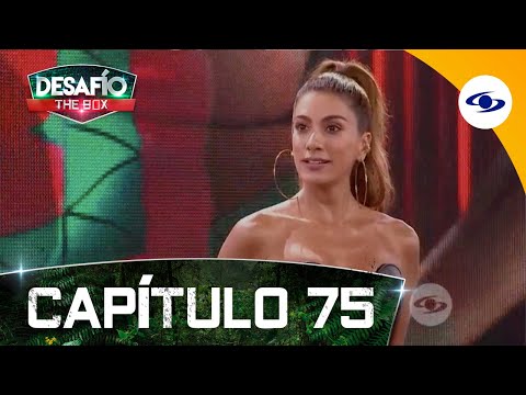 Capítulo 75: desafiantes celebran su paso a la semifinal - Vimarsana News